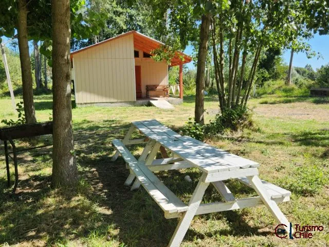 Área de picnic con mesas blancas entre árboles en Las Violetas