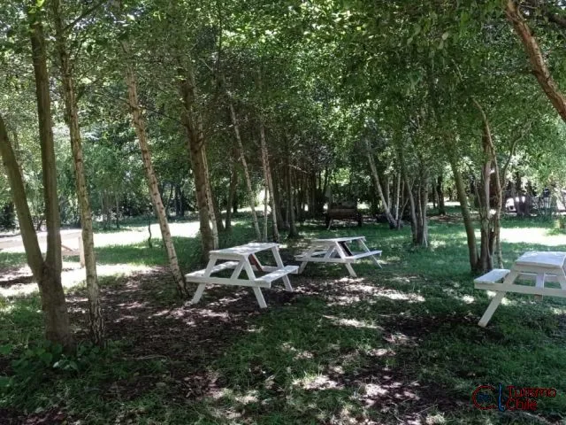 Zona de descanso con mesas de picnic bajo la sombra de los árboles