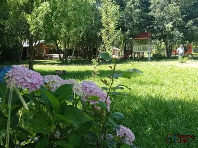 Jardines florecidos con hortensias en Cabañas Las Violetas, Saltos del Laja