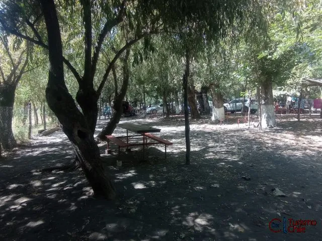 Zona de camping con vehículos y estructura techada en Camping Los Lagos