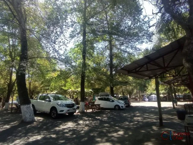 Vista general del camping con carpas y árboles frondosos en Los Lagos