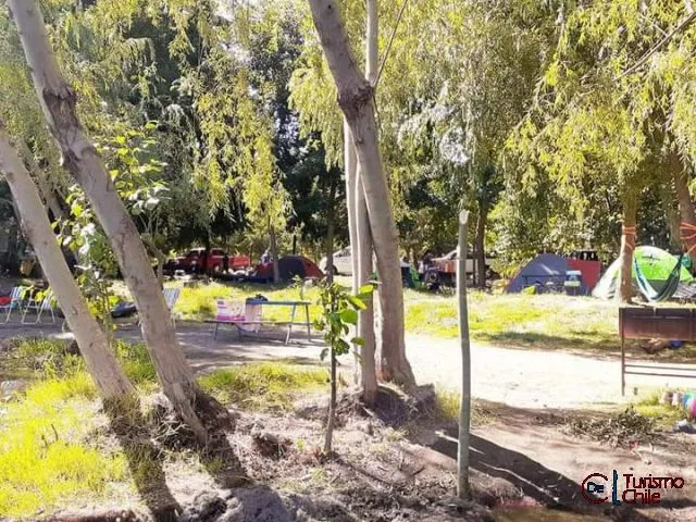 Carpas instaladas bajo los árboles en el Camping El Paraíso