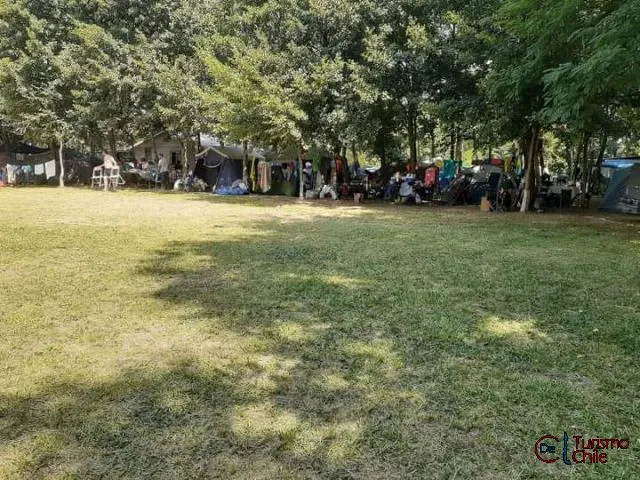 Amplia área verde con carpas y familias en el camping