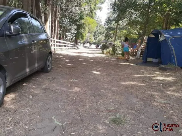 Camino interior del camping con vehículos y carpas bajo los árboles